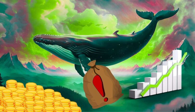 Wieloryb idzie pod prąd i dalej kupuje topowy, ale spadający altcoin. O co chodzi w tej strategii?