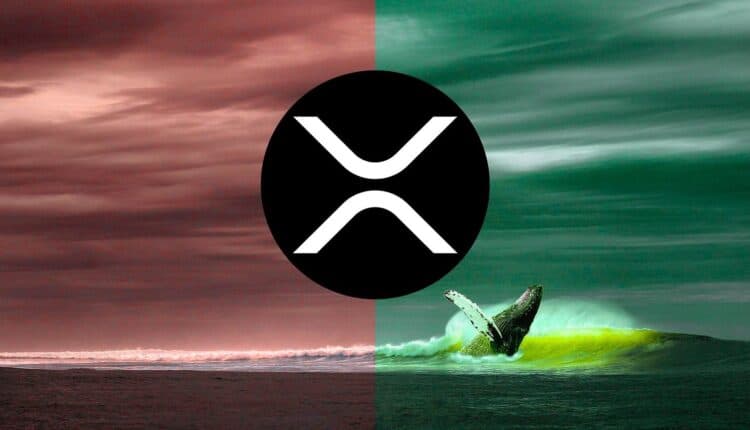 Tajemnicza seria transakcji z XRP. Co knują wieloryby Ripple? To bardzo cenna wskazówka