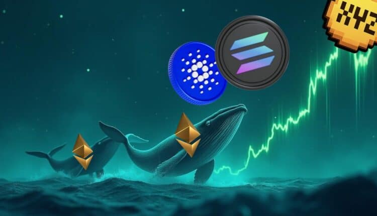 Milioner Ethereum przewiduje, że XYZVerse (XYZ) wzrośnie z 0,0054 USD do 10 USD do zimy 2025 roku, wyprzedzając Solanę i Cardano!