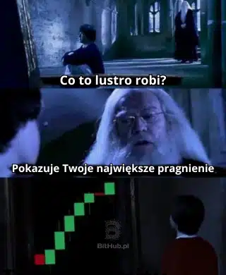 mem-lustro-harry-potter