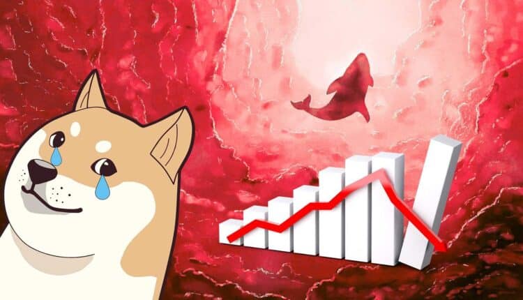 Czerwona flaga dla posiadaczy DOGE. Wieloryby zaliczył falstart?