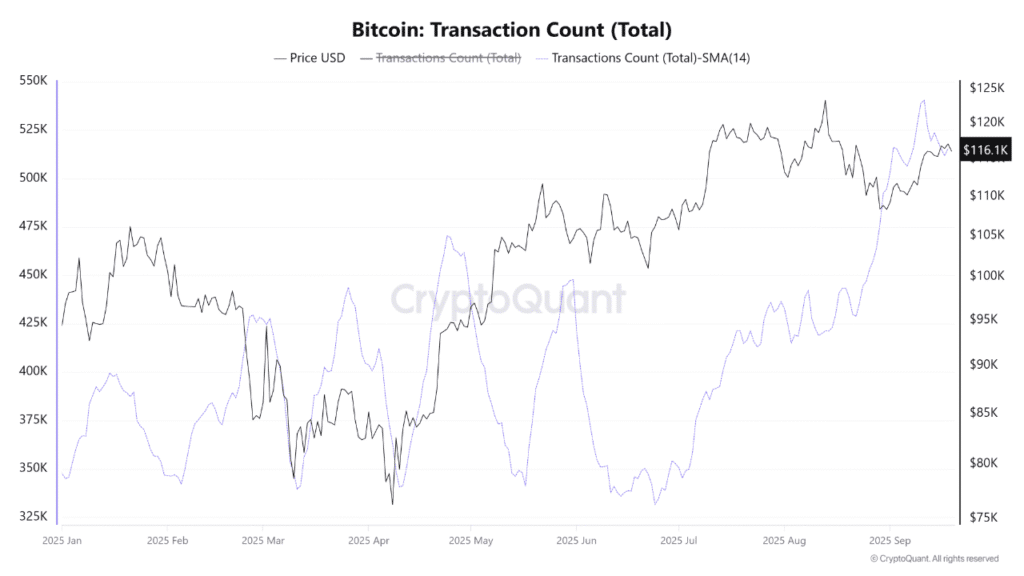 wykres aktywności bitcoina