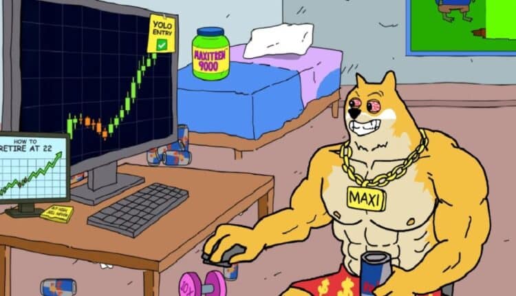 Maxi Doge rośnie w siłę – przedsprzedaż blisko 2,5 mln USD