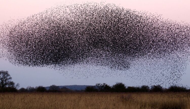 Gigantyczny zakład biotechnologiczny (!) bez pytania „zaszczepi” 140 mln ludzi