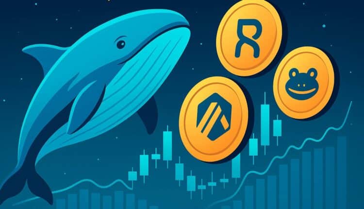 Wieloryby kupują te tokeny licząc na zyski we wrześniu!