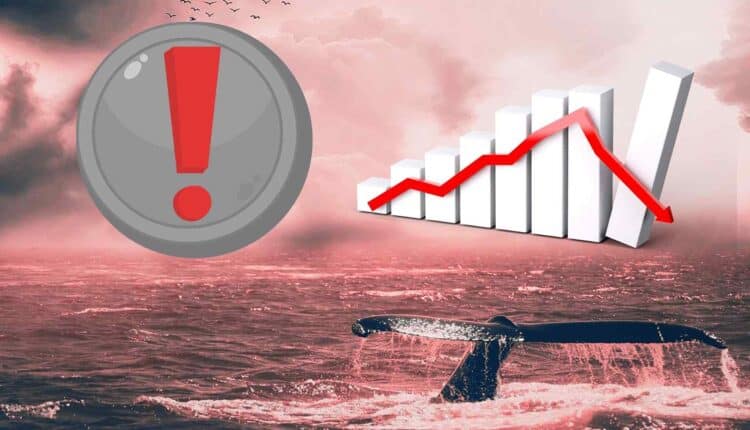 Tuż przed krachem wieloryby sprzedały ponad 3,2 mln sztuk tej kryptowaluty. Wiedziały coś więcej?