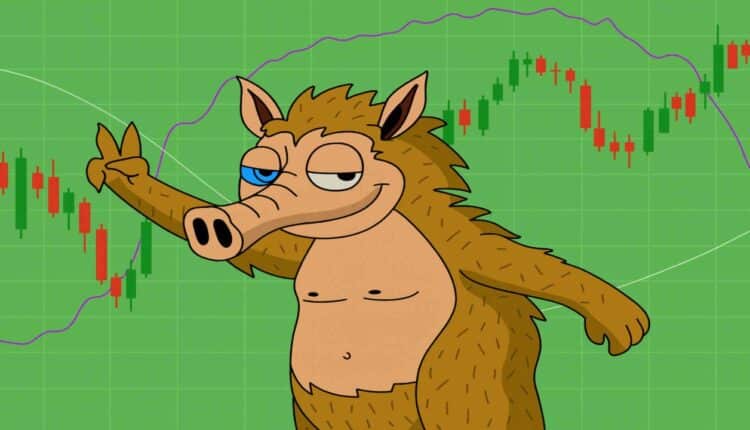 Rynek kryptowalut w ogniu. 19 miliardów dolarów w proch. Czy Snorter Bot może zyskać?