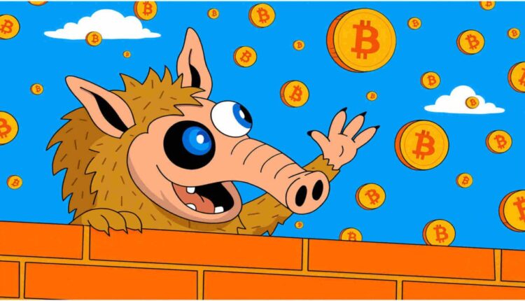 Rynek po wstrząsie i nagłym odbiciu. 19 mld USD wyparowało, a kapitał wraca inwestorów