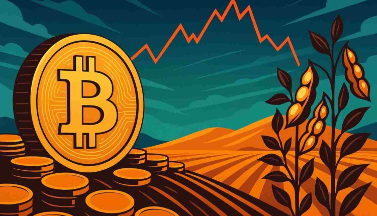 Soja, inflacja i Bitcoin – co mają wspólnego?