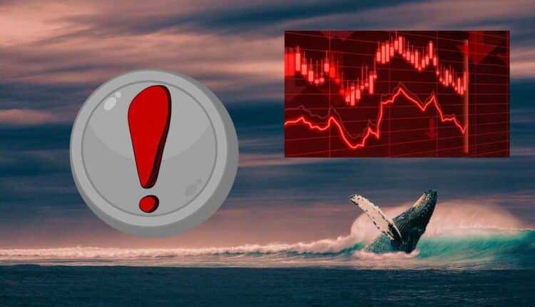 Wieloryby sprzedały prawie miliard sztuk tokena z TOP 10. Ucieczka z tonącego okrętu?