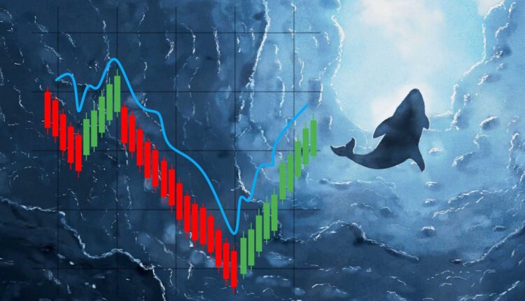 Tajemnicza aktywność wielorybów wokół Ethereum. Co może oznaczać ten ruch?