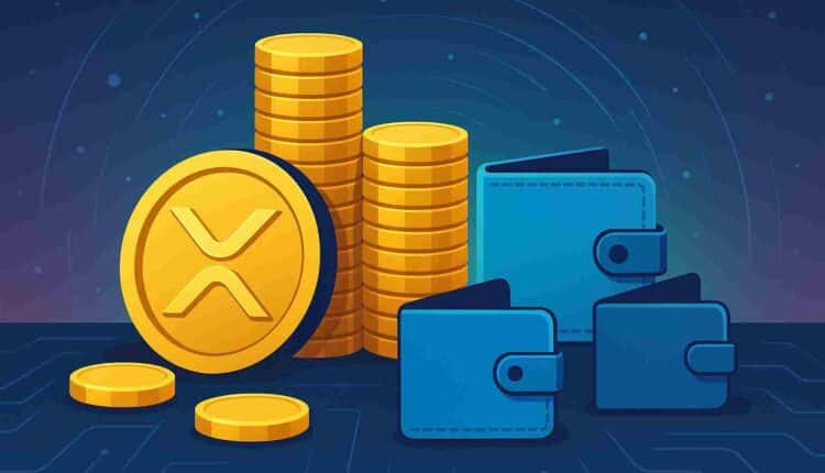 Ile XRP naprawdę posiada przeciętny inwestor?