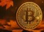 bitcoin listopad
