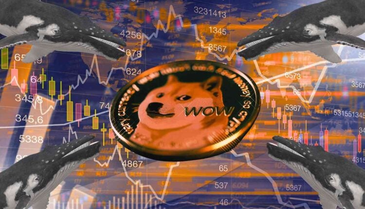 Oto konsekwencje decyzji Fed o cięciu stóp – wieloryby akumulują Dogecoin, ale to, co robi Bitcoin, może przeważyć!