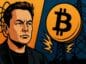 elon musk bitcoin