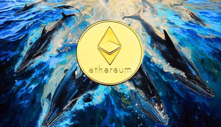 Ten token wyrasta na nowego lidera. Wieloryby i instytucje akumulują na potęgę. „Najlepszy moment na akumulację”