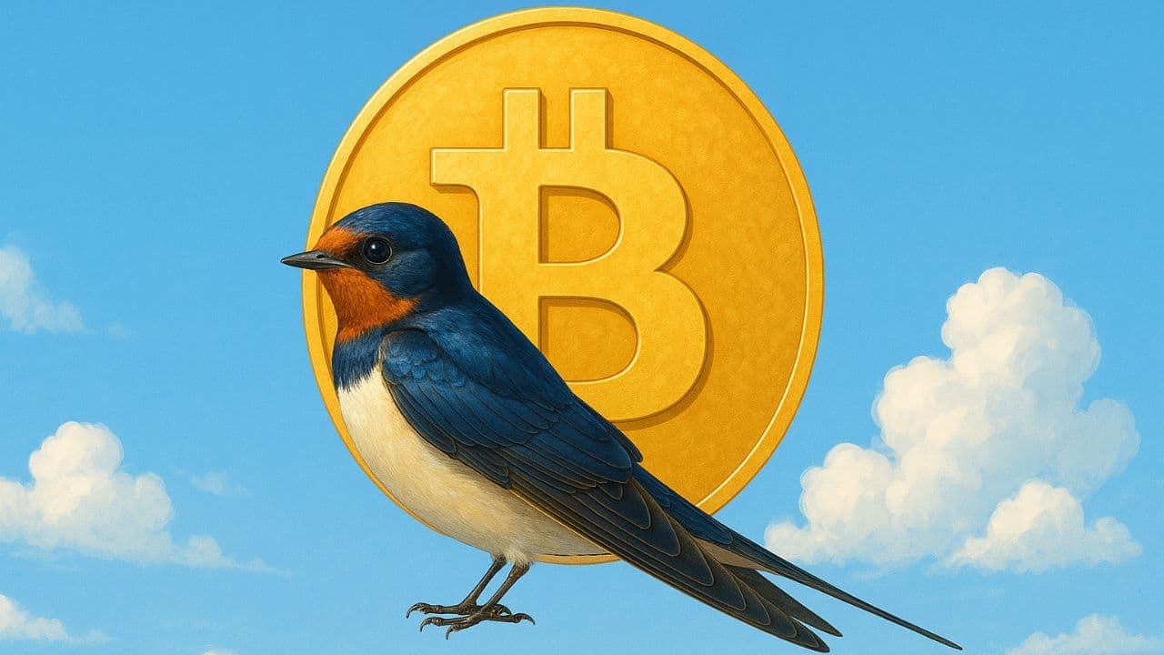 Pierwsze jaskółki końca spadków? Ekspert ocenia aktualną kondycję rynku i kryptoaktywów