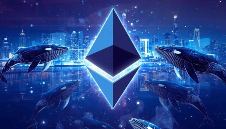 Wieloryby kupowały ten altcoin, kiedy Bitcoin spadł poniżej 100 tys. USD. Szykują się na kolejny rajd?