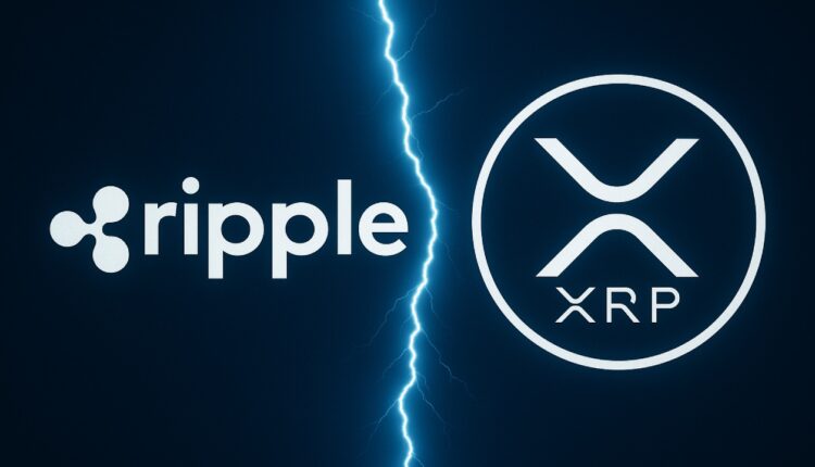 xrp ripple ceo
