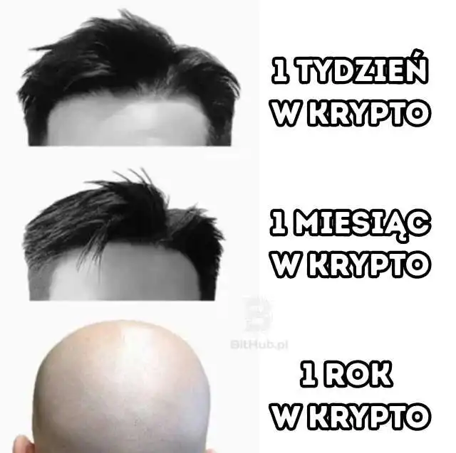 mem-łysienie-krypto