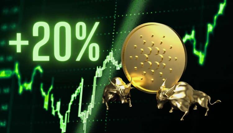 Wieloryby wysłały na Binance 150 mln sztuk tokena z TOP 10, ale ten rośnie o ponad 20%. O co chodzi?