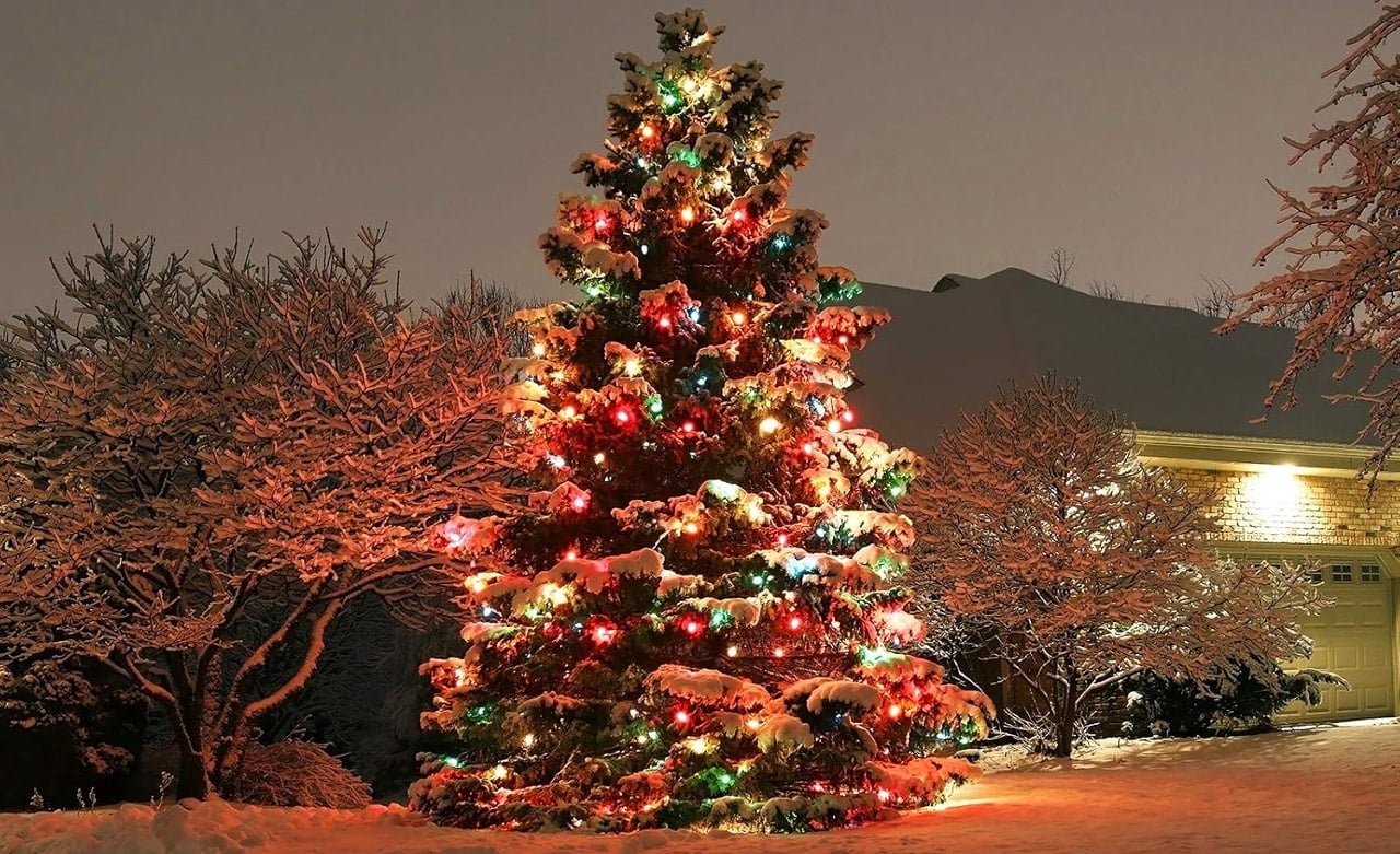 Zrezygnujcie z naturalnych choinek na Święta – żeby było więcej gruntu pod centra danych. Nie, poważnie…