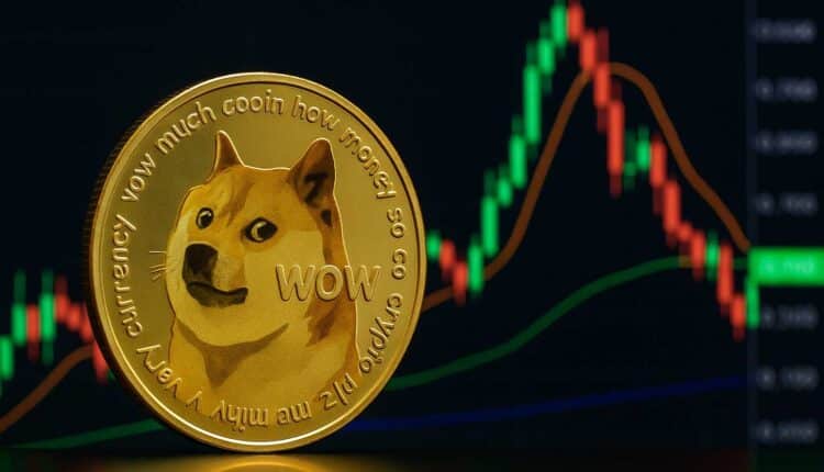 Dogecoin eksploduje? Wieloryby kupują 480 mln DOGE w dwa dni