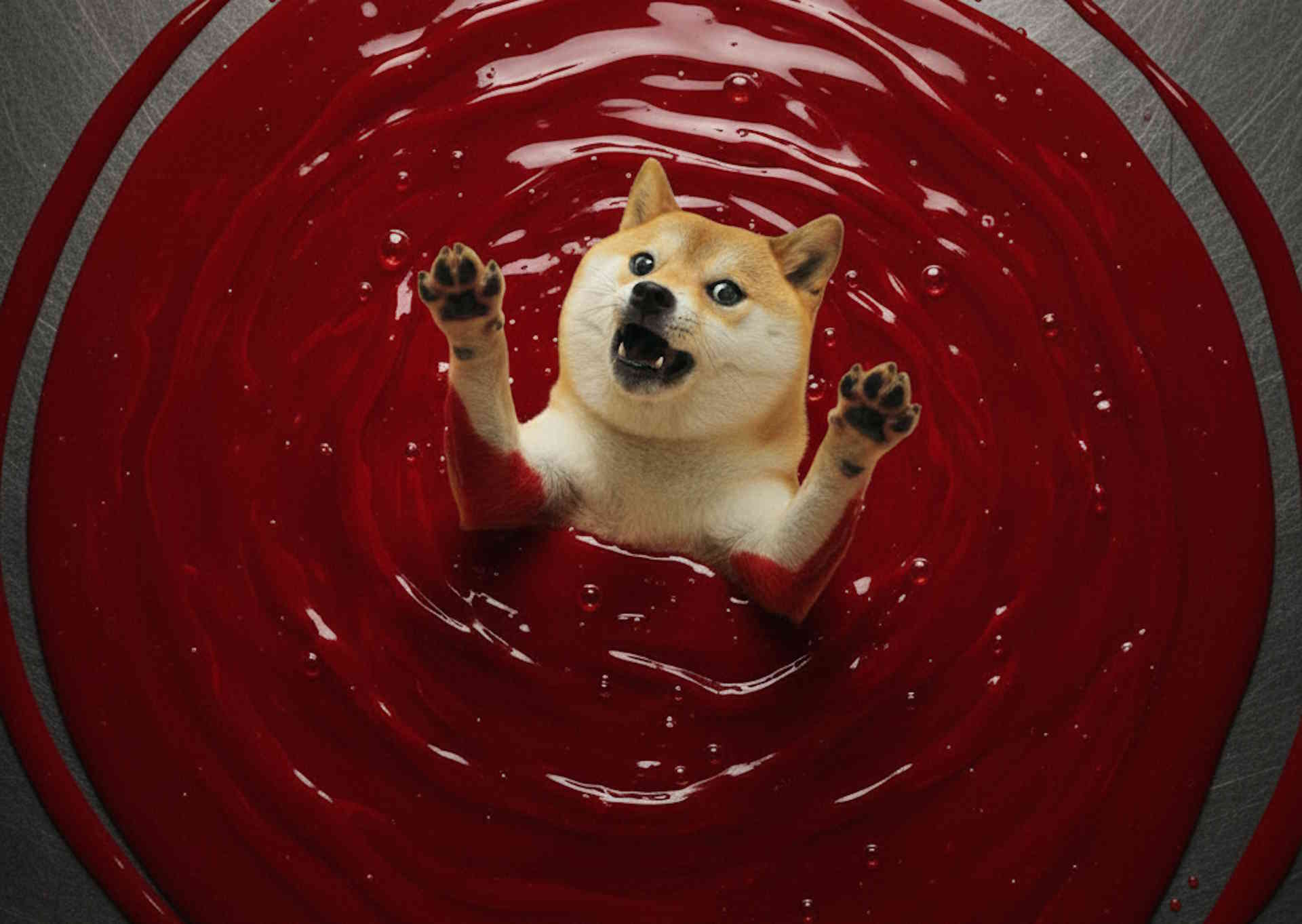 Dogecoin tonie w czerwieni a wieloryby uciekają z pokładu. Czy to już koniec marzeń o wzrostach?