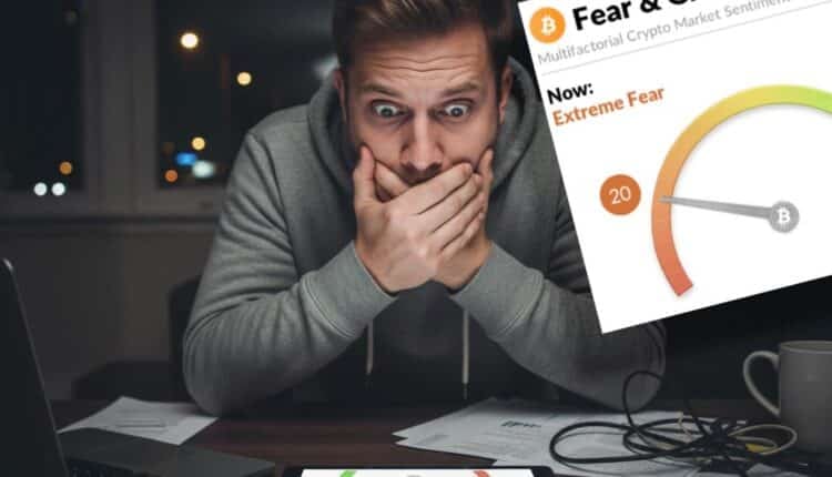Ekstremalny strach paraliżuje inwestorów, a instytucje po cichu skupują BTC. Czy to koniec hossy?