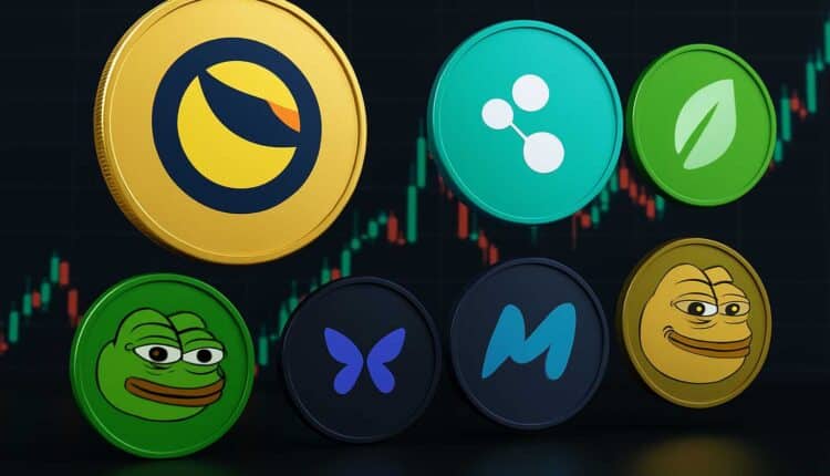 Te altcoiny wystrzeliły na początku grudnia! LUNA2 zaskoczyła rynek