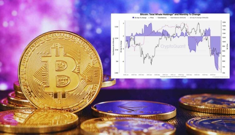 Ekspert obnaża prawdę o danych na temat Bitcoina. Jest dokładnie odwrotnie niż wszyscy myślą