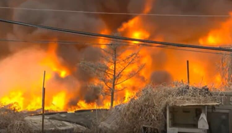 Ogromny pożar w stolicy kraju. Luksusowa dzielnica w płomieniach