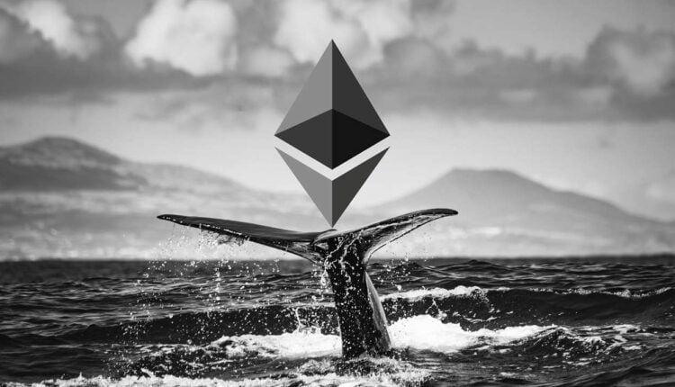 Gigant nagle przestał masowo kupować Ethereum. Wychodzi czy czeka na spadek?