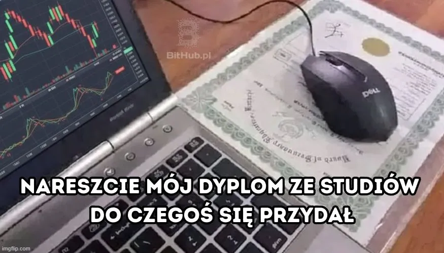 mem-dyplom-inwestowanie