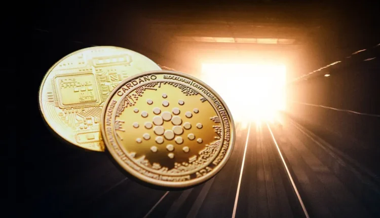 Cena Cardano spadła o 80%, ale wieloryby kupują jak szalone. Rynek za wcześnie pogrzebał ADA?