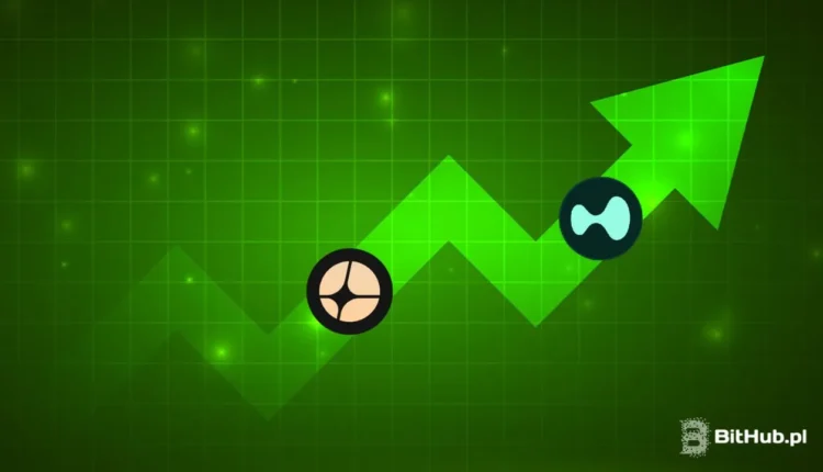 Dwa tokeny mocno rosną mimo kryptobessy! Gdzie tkwi sekret?