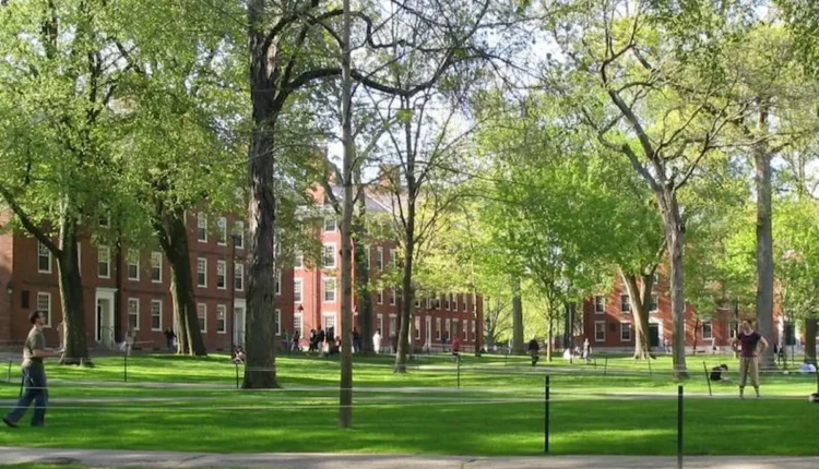 Harvard sprzedaje Bitcoina. „Zaczęło się”. Jaką kryptowalutę kupił?