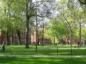 Harvard University