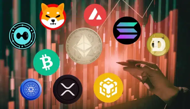 Altcoiny po cichu szykują się do przejęcia rynku? Dane CryptoQuant nie pozostawiają złudzeń