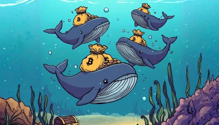 Rezerwy Bitcoina na giełdach najniższe od 2019 roku. Cena BTC może szybko zareagować