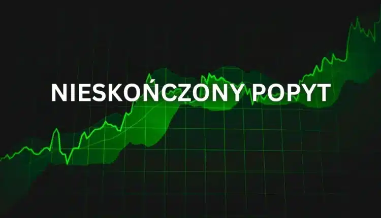 Akcje tej spółki rosną tak szybko jak walory NVIDIA. Mało kto o niej mówi, a Wall Street wycenia ją jeszcze wyżej