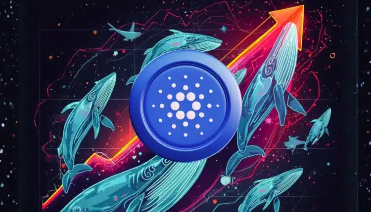 Rynek za wcześnie przekreślił Cardano? Token odrabia straty, a wieloryby dają ważny sygnał