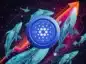 Cardano na tle wykresu i wielorybów.