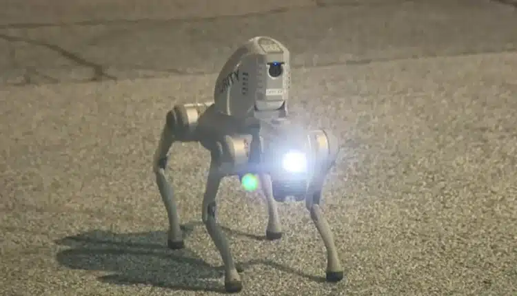 Mechaniczne psy jako policja, Hindusi z call center zdalne rozkazują mieszkańcom. Skandaliczny „eksperyment”