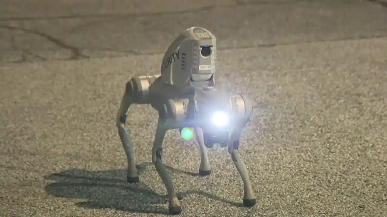 Mechaniczne psy jako policja, Hindusi z call center zdalne rozkazują mieszkańcom. Skandaliczny „eksperyment”