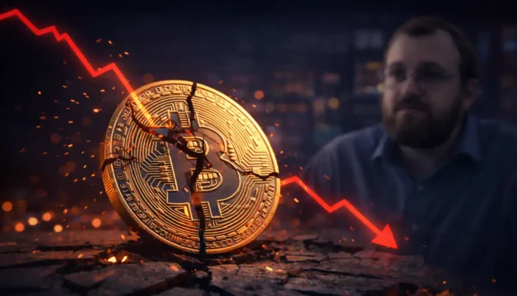 Bitcoin czeka katastrofa? Hoskinson: w latach 30. może zacząć się masowa kradzież