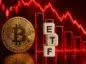 Bitcoin ETF notuje spadki.