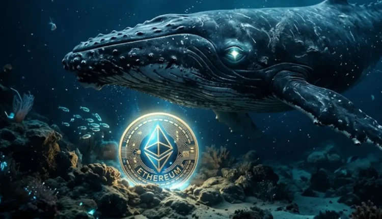 Ten wieloryb przewidział upadek Ethereum, teraz stawia miliony na krach. Czy powtórzy swój spektakularny sukces sprzed roku?