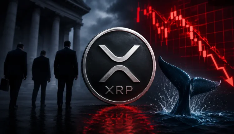 Instytucje odwracają się od XRP. Dane wysyłają niepokojący sygnał