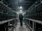 mining